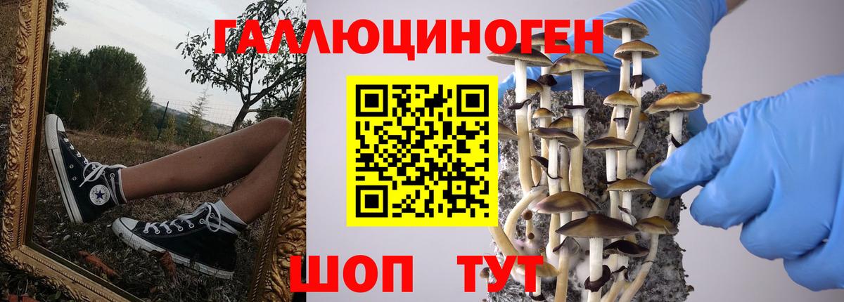 Галлюциногенные грибы прущие грибы Кинель