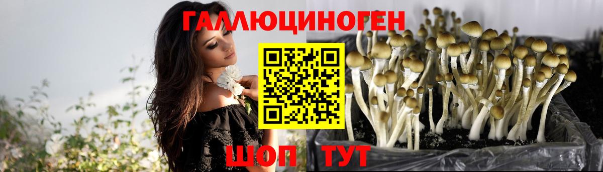 Галлюциногенные грибы Cubensis  Вход с VPN  Псилоцибиновые грибы MAGIC MUSHROOMS  Кинель 